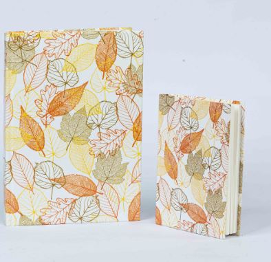 Notebook Offer